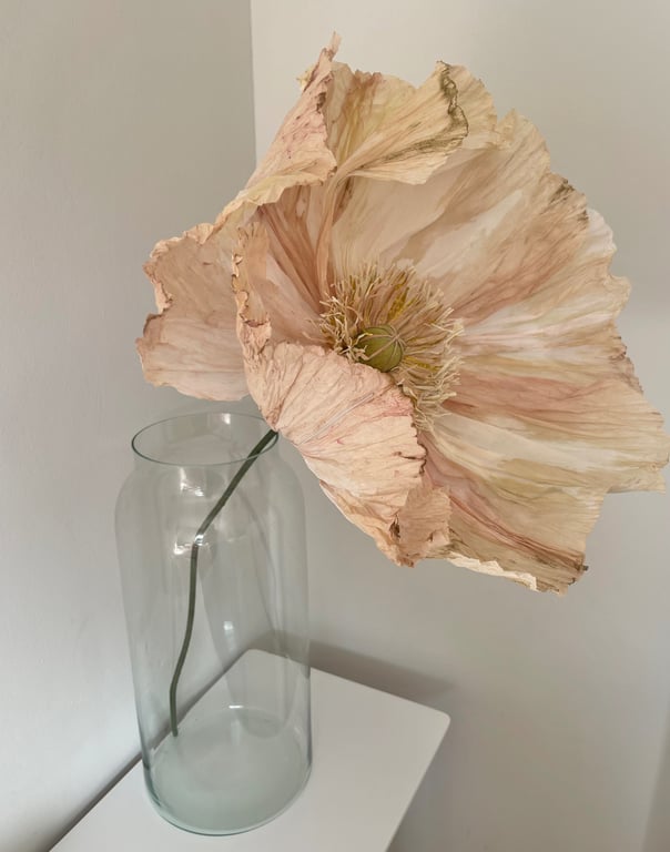 Tørret, lys beige valmueblomst i klar glasvase på hvid overflade mod hvid væg.