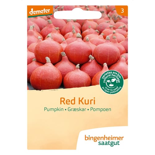 Græskar Red Kuri - Bingenheimer saatgut