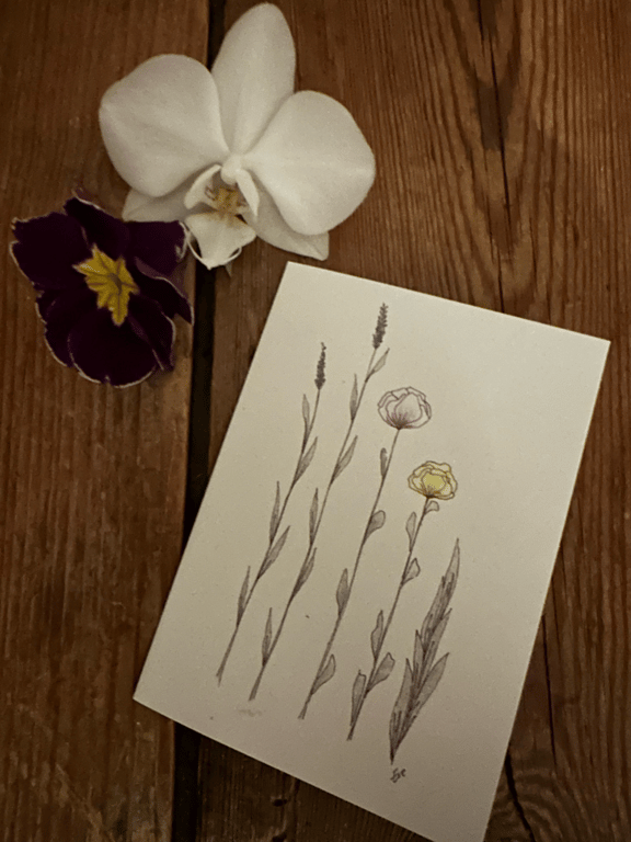 Strækker sig mod lyset - T6