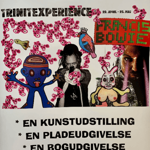Trinitexperience  – produktbillede