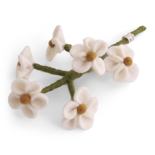 En gren med seks hvide filtblomster med brune midterdele på grønne stilke. (2)