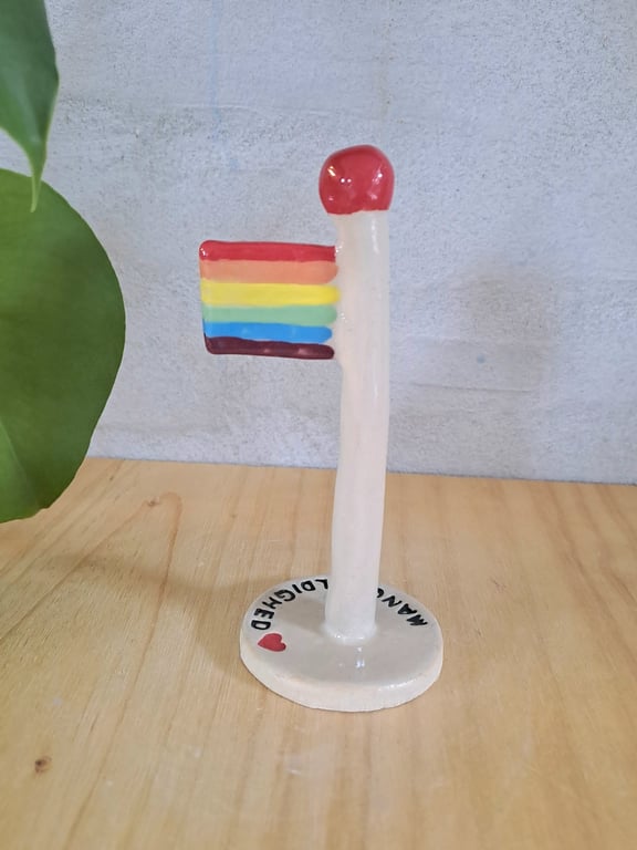 Mangfoldighed-Flaget er 14 cm høj billede 2