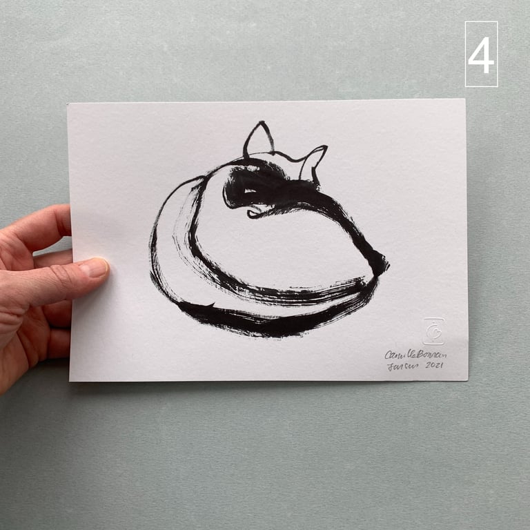 Katteskitser billede 3
