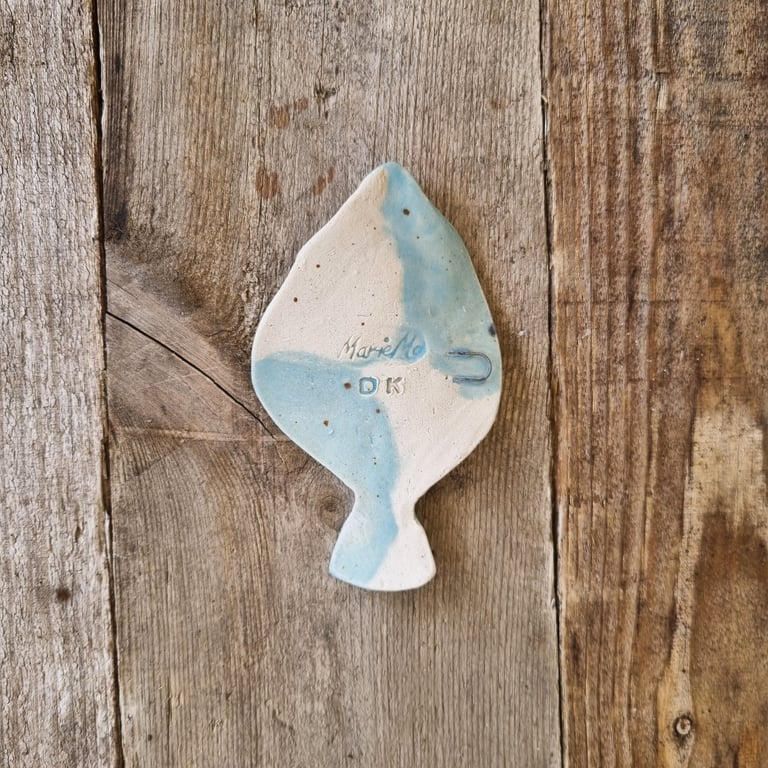 Rødspætte, lyseblå billede 2