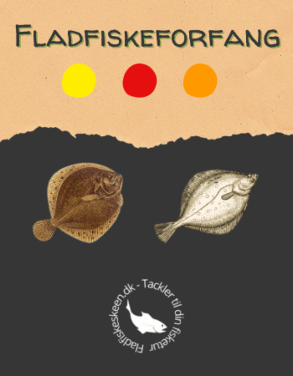 Fladfiskeforfang, Rød/Gul/Orange