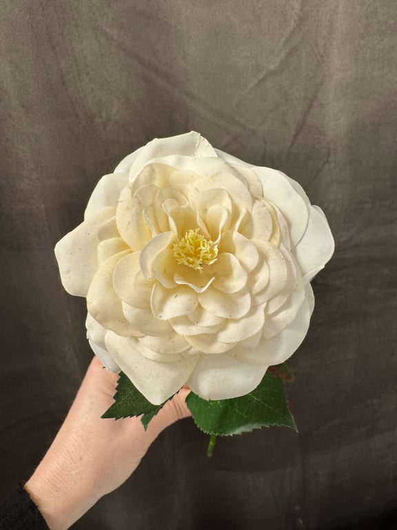 Hvid blomst billede 2