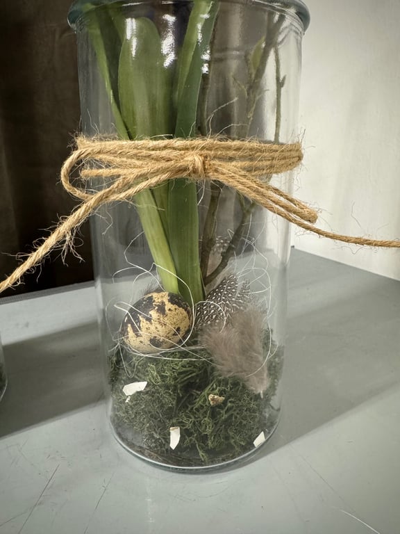 Hyacint i glas  billede 2