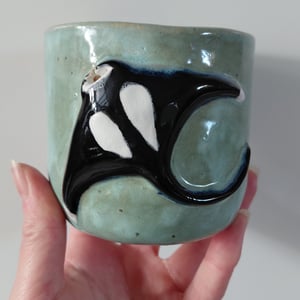 3D mantaray kop – produktbillede