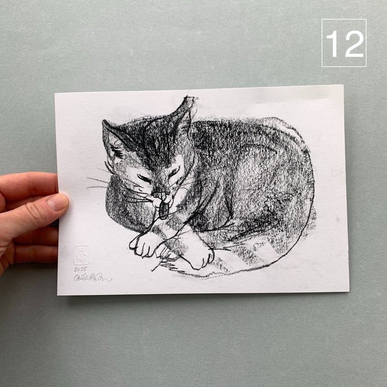 Katteskitser billede 9