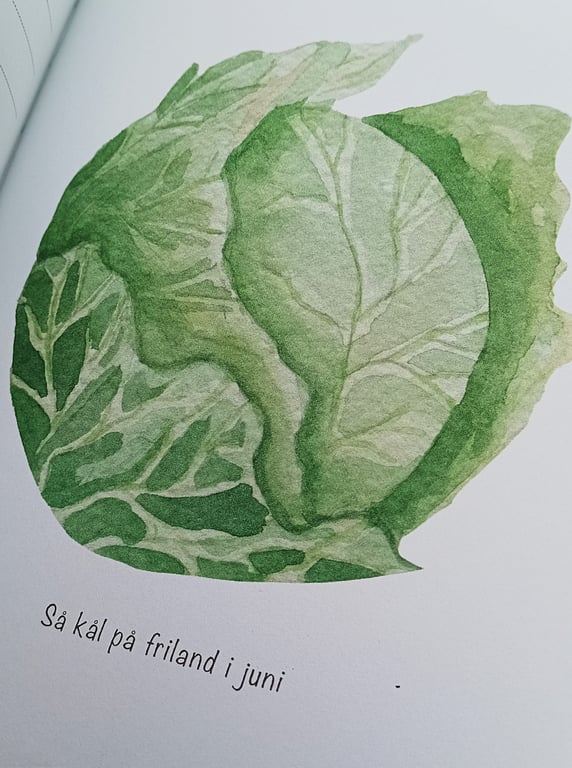 Køkkenhave  rigtig bog  Tips &amp; Tricks   Havelog og evighedskalender billede 4