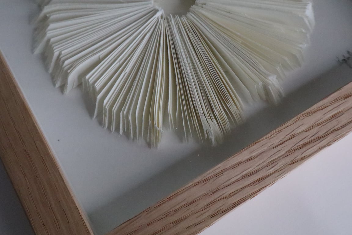 20x20cm relief, indrammet  (2)