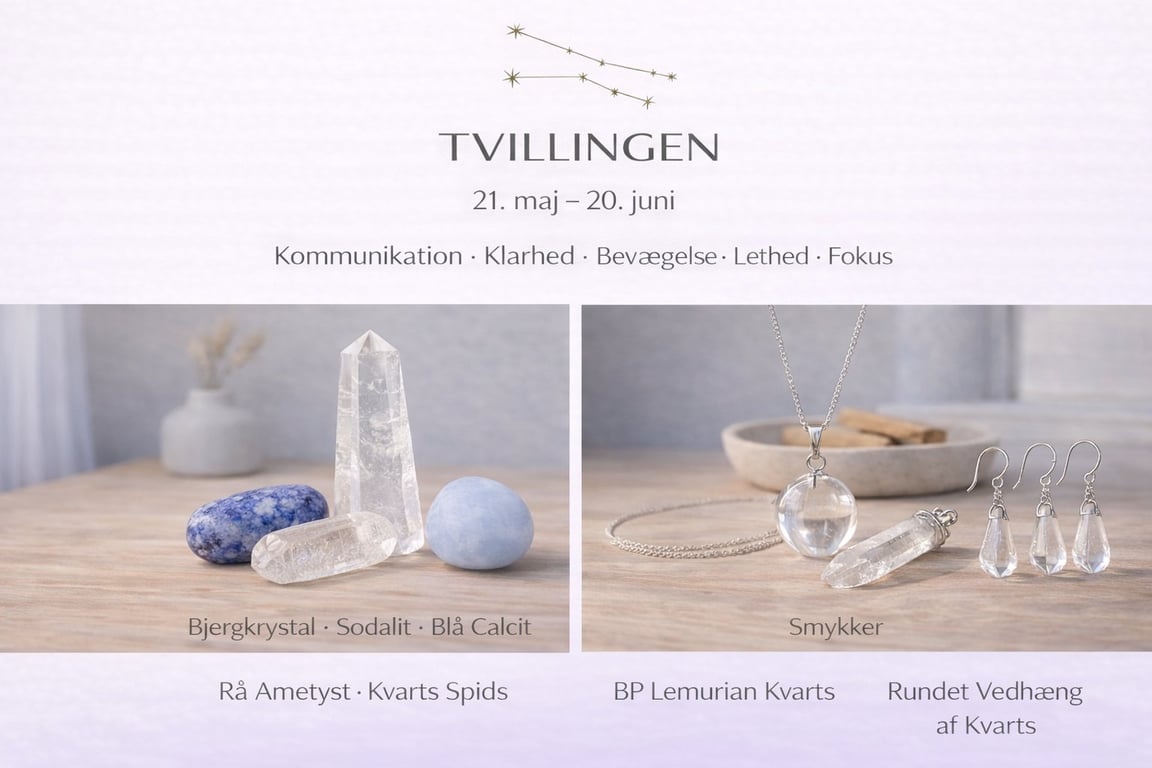Stjernetegn Tvilling