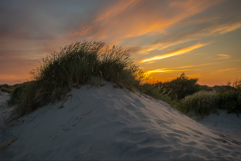 Lige efter solnedgang på  Råbjerg mile i Skagen en smuk sommeraften