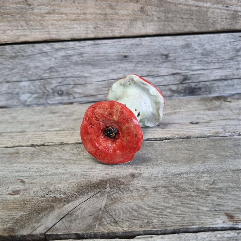 Æbleskrog rød billede 3