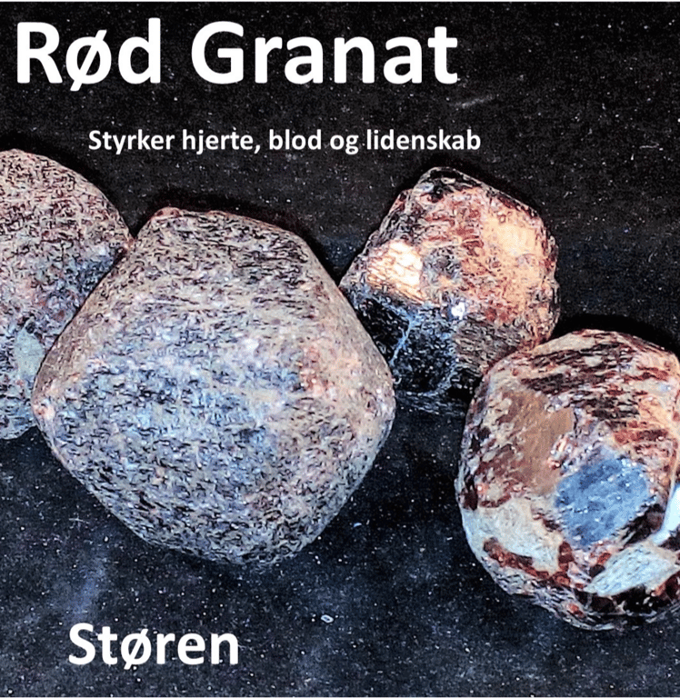 Kraftstenene i Medicinhjulet billede 19