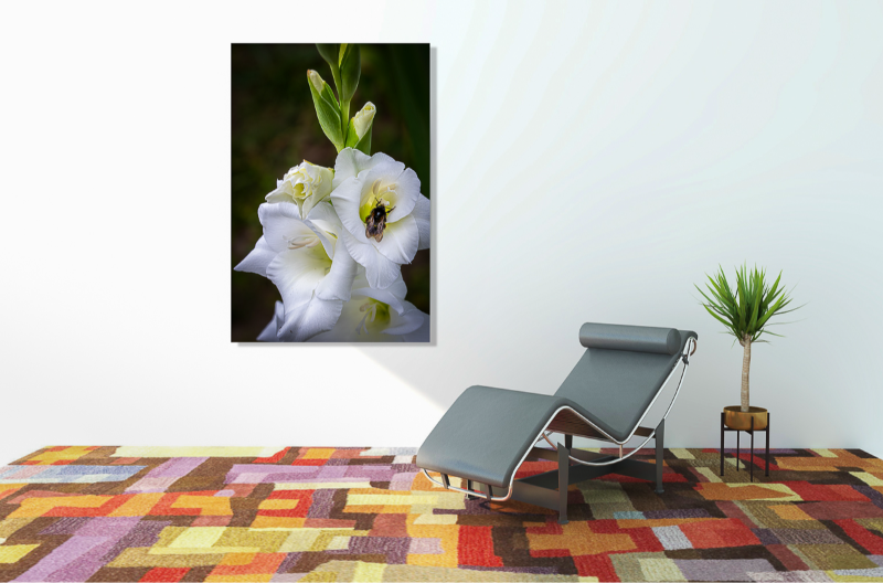 En smuk hvid Gladiolus med en lille gæst, taget en tidlig sommermorgen billede 2