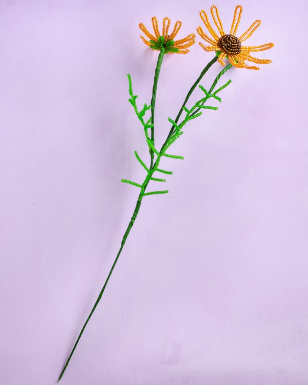 Orange kamille billede 4