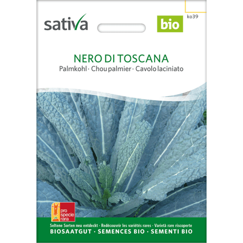 Frøpakke til økologisk palmekål sort Nero di Toscana med billede af blågrønne, krusede blade. (1)