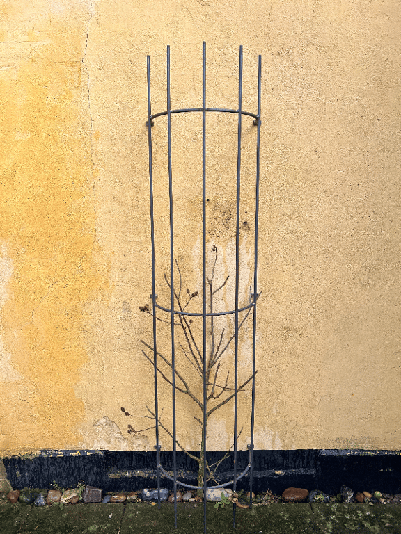 Espalier til væg billede 2