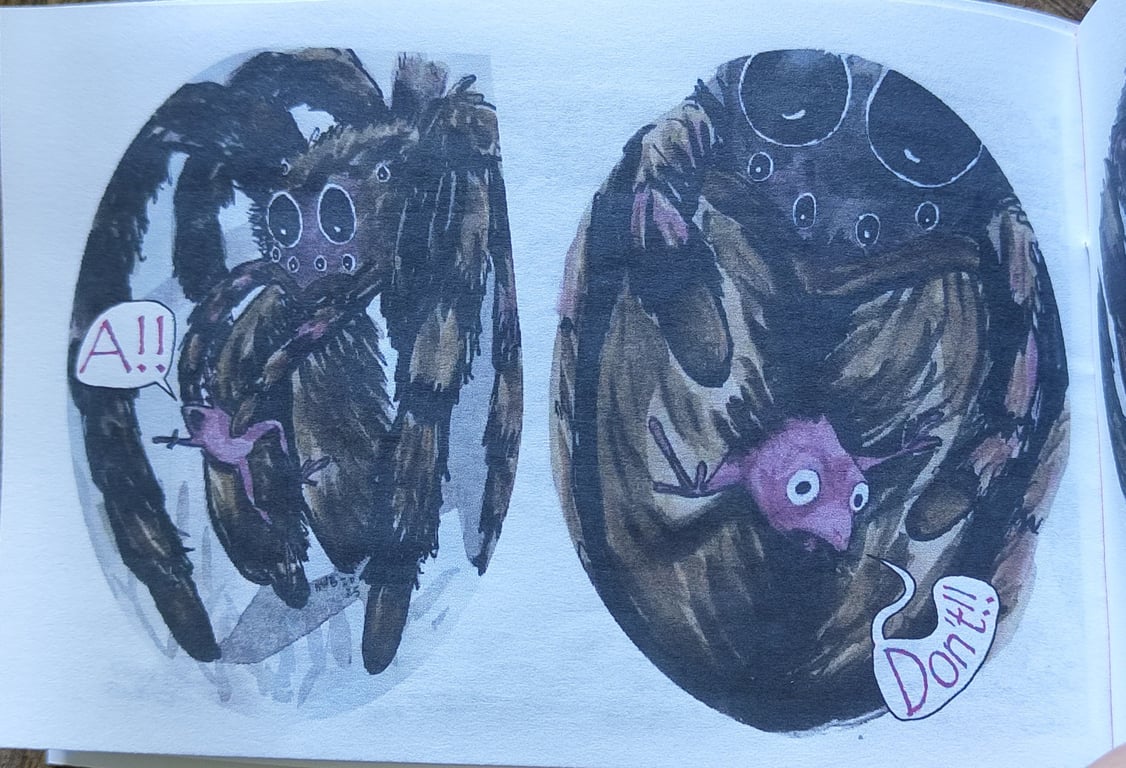 Spider &amp; Frog billede 4