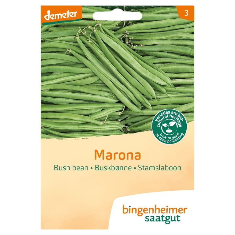 Frøpakke til buskbønner, mærket "Marona" med billede af grønne bønner på emballagen, fra mærket Bingenheimer Saatgut.