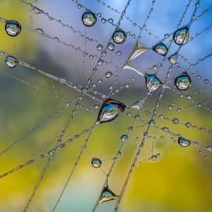 FANG MØNS KLINT I HVER DRÅBE – produktbillede