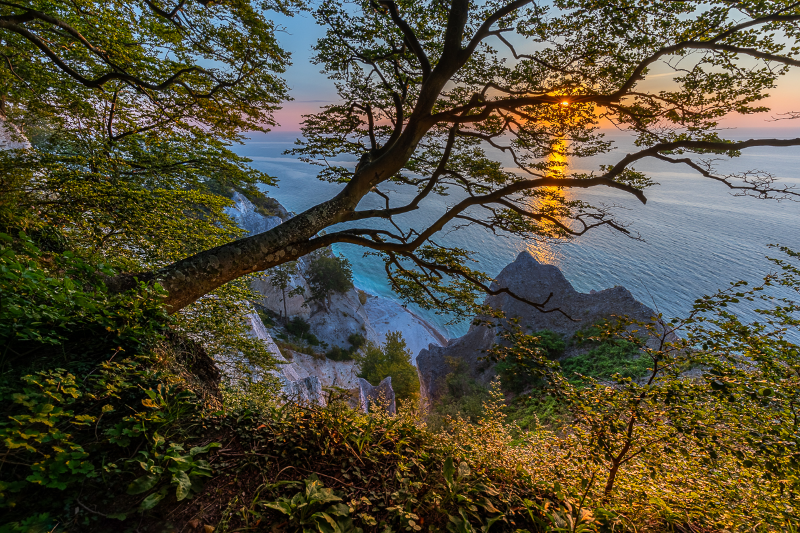 Lige efter solopgang over Møns klint en smuk sommermorgen