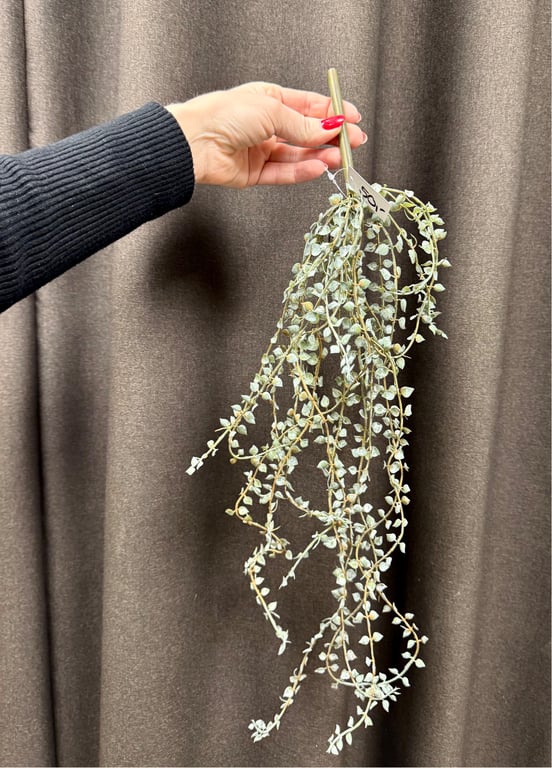 Hænge ranke billede 5