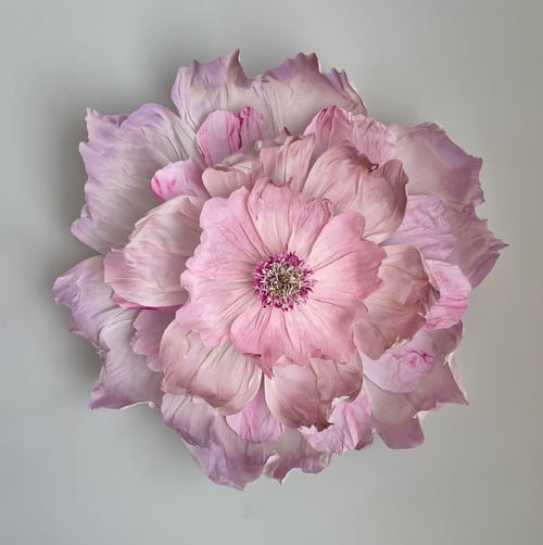 En detaljepræget tæt udsnit af en lyserød blomst med flere lag bløde, bølgede kronblade mod en neutral baggrund. (1)