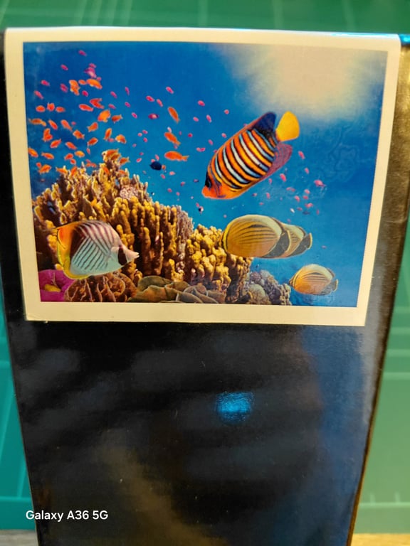 Her er der nogen pæme fisk 30×40 