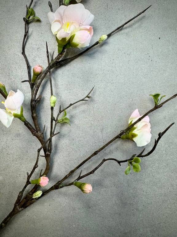 Æble gren  billede 2