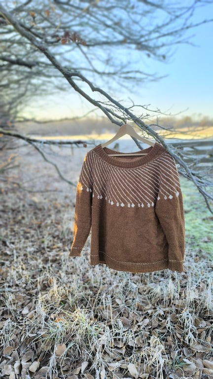 Shooting Star Sweater billede 2