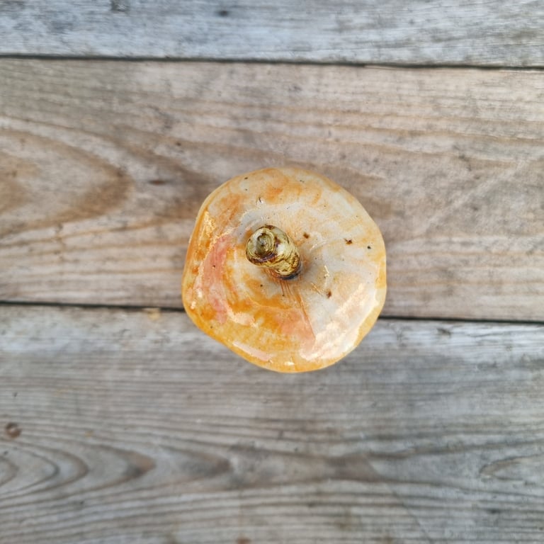 Æbleskrog orange billede 3