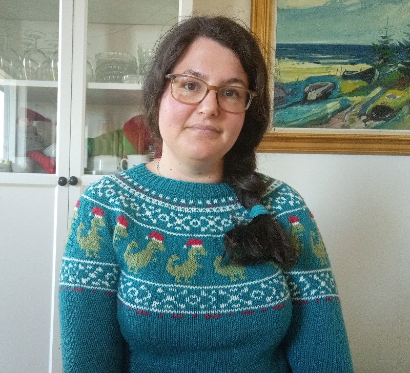 Juledino Sweater - VOKSEN