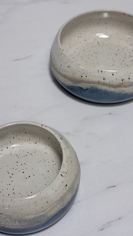 Havkys skålesæt  billede 2