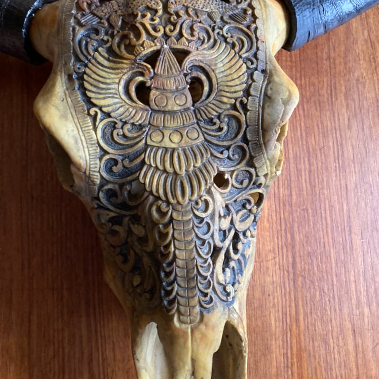 Dyrekranie - sorte horn (4)