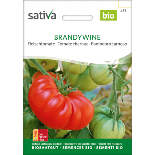 Frøpose til økologiske Brandywine tomater med billede af en stor, rød tomat og flere grønne tomater på planten. (1)