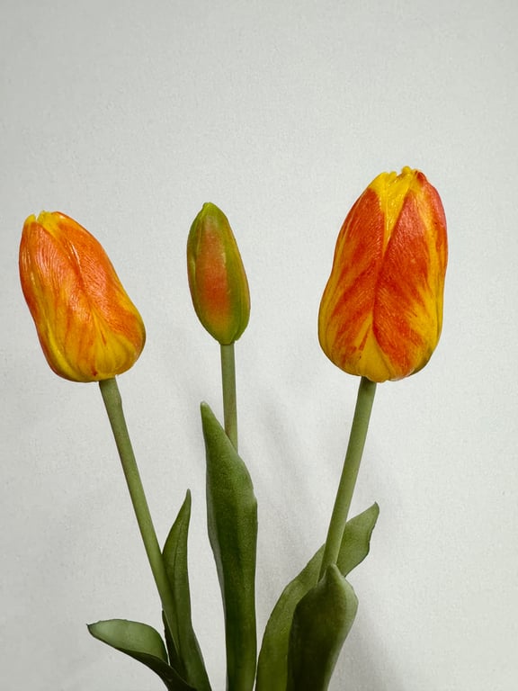 Tulipaner 3 stk. orange billede 2