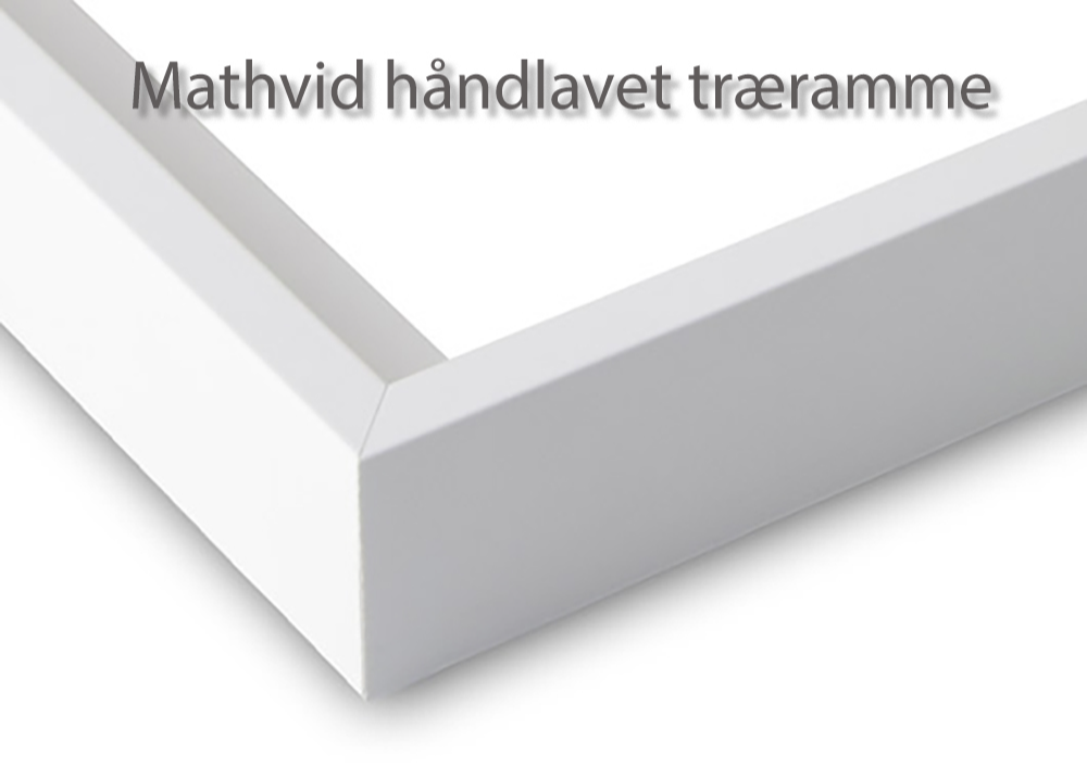 Chevrolet SIX fra 1931 med indbygget fadølsanlæg billede 8