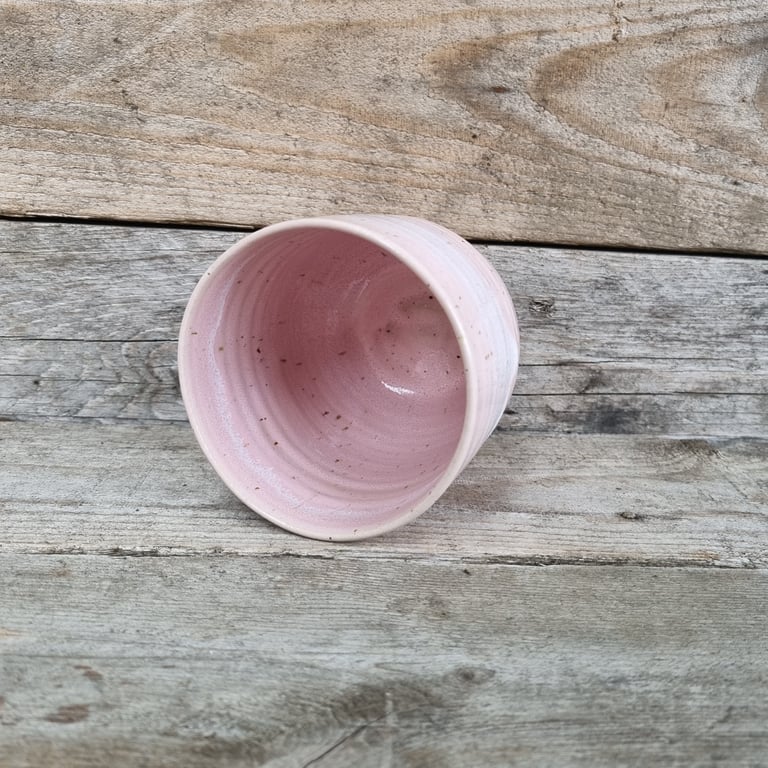 Konkylie kop billede 3