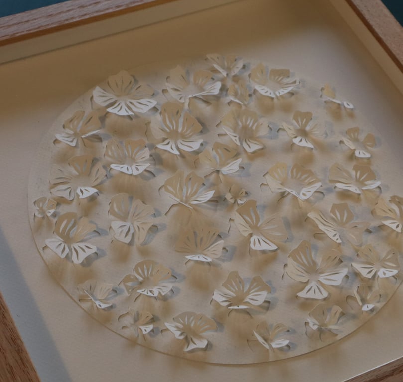 30x30cm, 3D papercut, hvid, indrammet  (7)