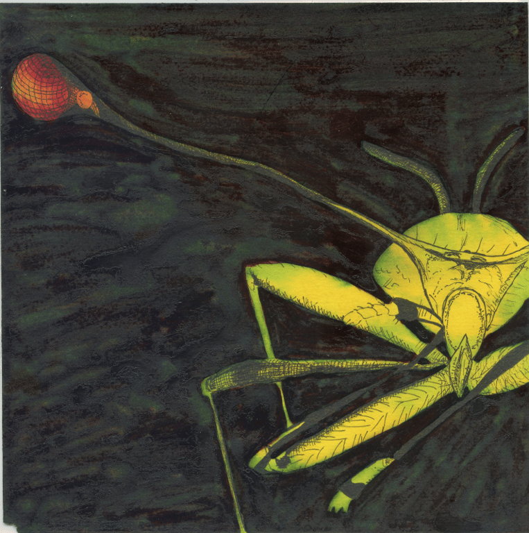 N2 - 59
