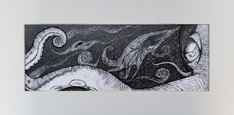 Cephalopod 