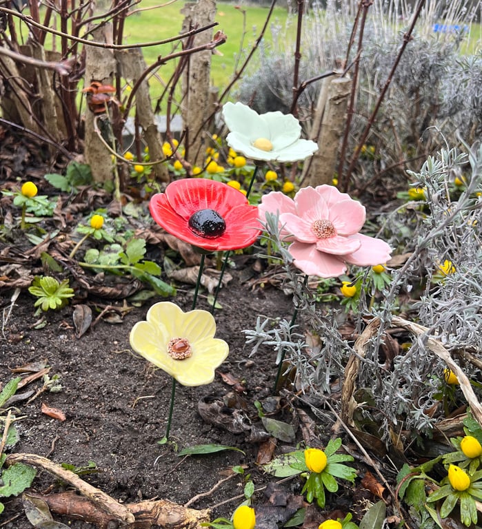 Lysegrøn blomst på stilk  billede 4