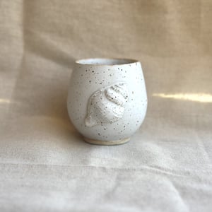 Konkylie kop, creme – produktbillede