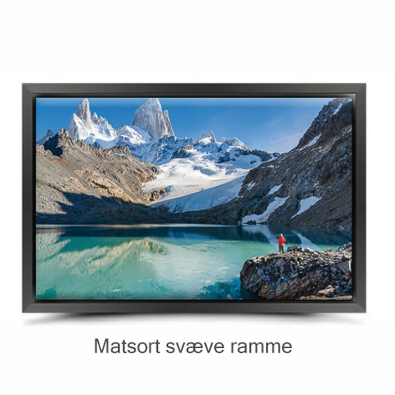 Foto af en smuk Solsikke med dug på kronbladene billede 5
