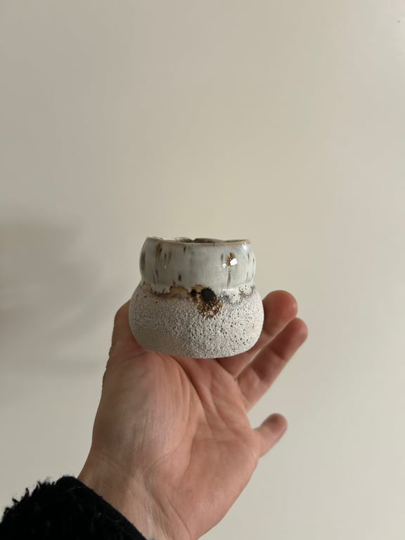 Mælkekande  billede 3