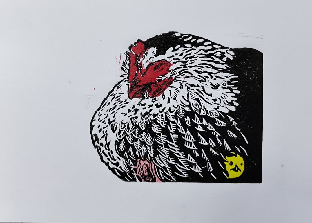 Feathers billede 2