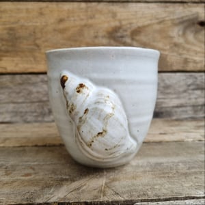 Konkylie kop – produktbillede