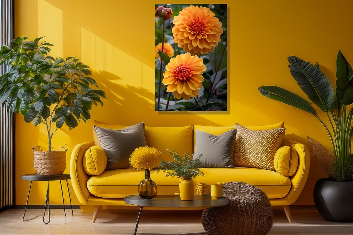 Foto af to smukke Dahlia blomster tæt på. billede 2
